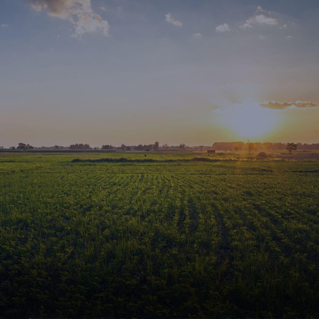 Monitoramento em territórios extensos